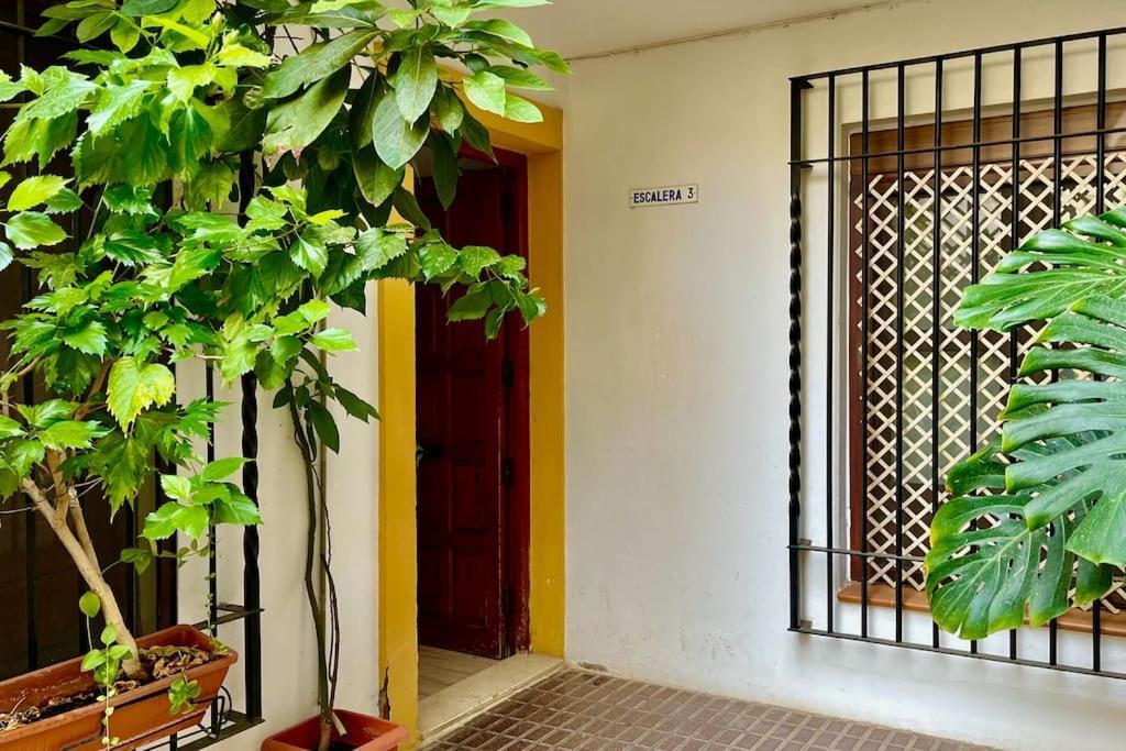Apartamento Kenza Córdoba Exterior foto